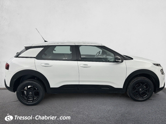 Citroën C4 CACTUS BUSINESS BlueHDi 100 S&S BVM6 Feel Business