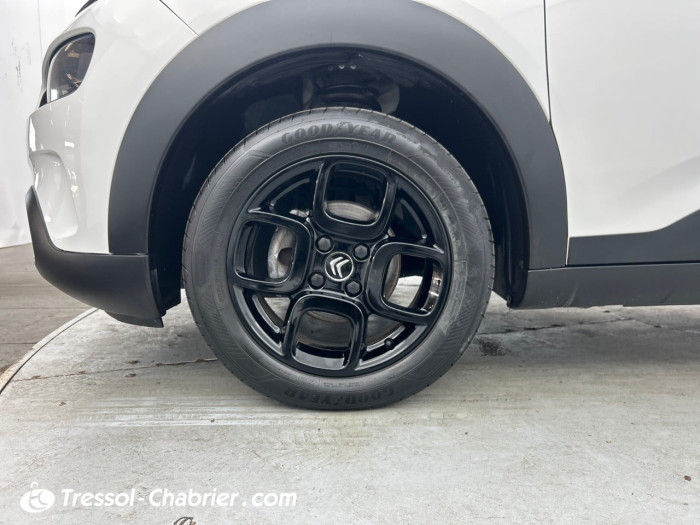 Citroën C4 CACTUS BUSINESS BlueHDi 100 S&S BVM6 Feel Business