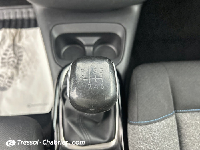 Citroën C4 CACTUS BUSINESS BlueHDi 100 S&S BVM6 Feel Business