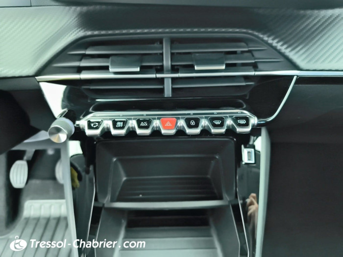 Peugeot 208 BlueHDi 100 S&S BVM6 Active Pack