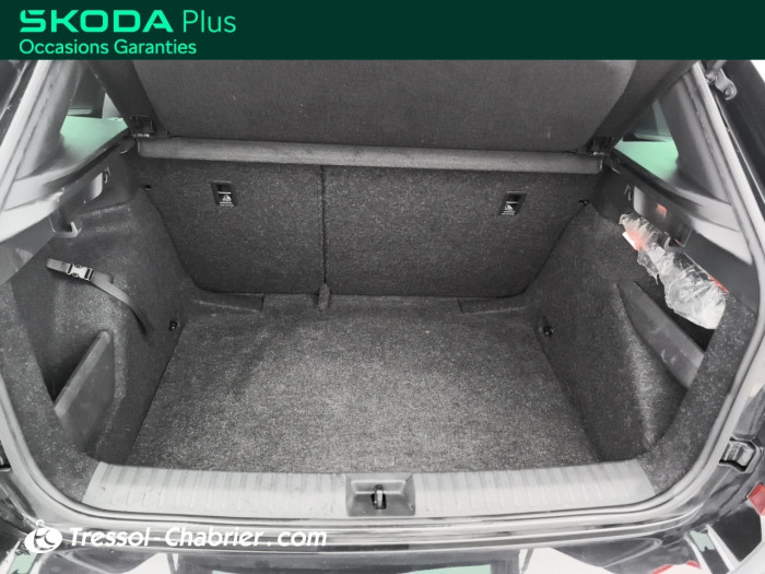 Skoda KAMIQ 1.0 TSI Evo 2 116 ch DSG7 Monte Carlo