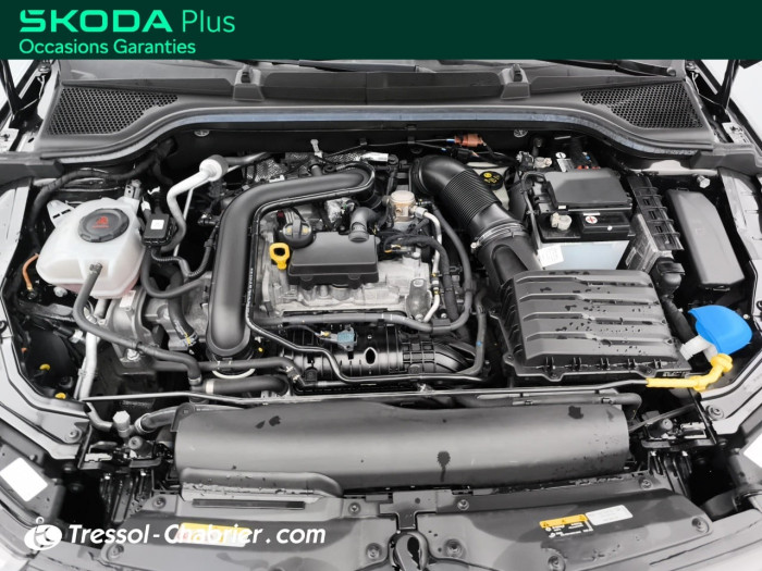 Skoda KAMIQ 1.0 TSI Evo 2 116 ch DSG7 Monte Carlo