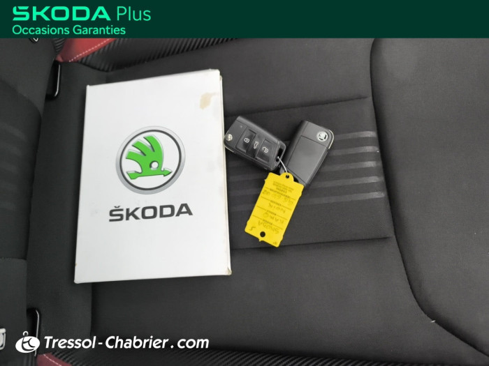 Skoda KAMIQ 1.0 TSI Evo 2 116 ch DSG7 Monte Carlo