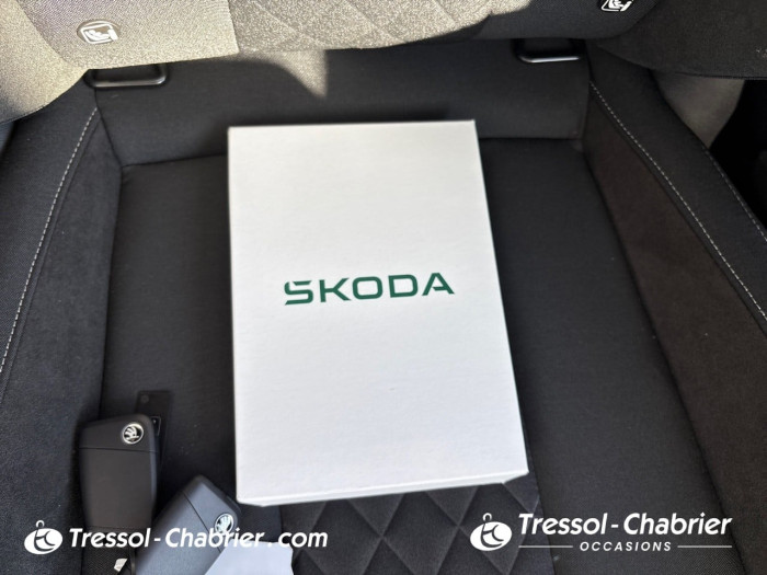 Skoda FABIA Nouveau 1.0 TSI 116 ch EVO 2 DSG7 Monte-Carlo