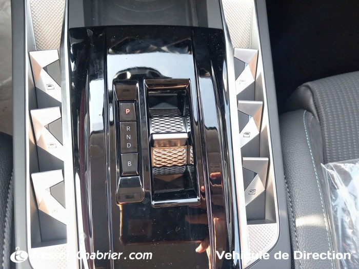 DS DS 3 ELECTRIQUE Nouveau E-Tense Maison Sarah Lavoine