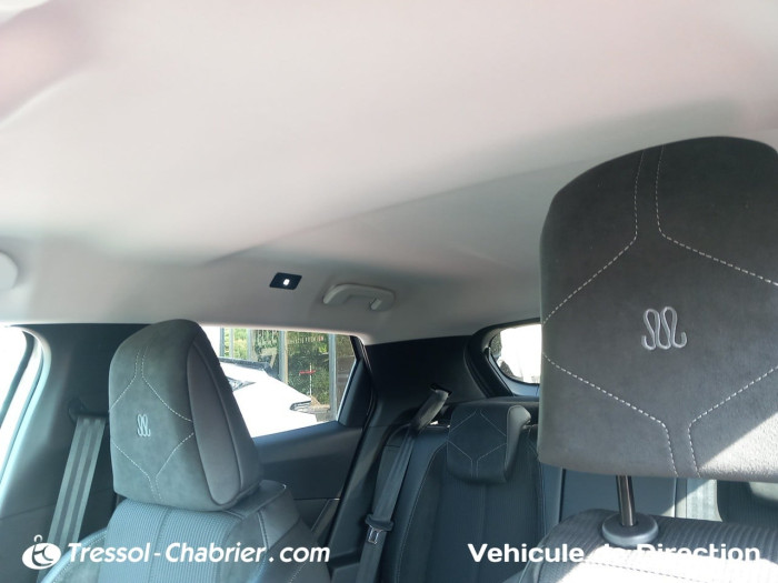 DS DS 3 ELECTRIQUE Nouveau E-Tense Maison Sarah Lavoine