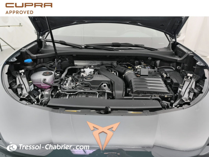 Cupra TERRAMAR Nouveau 1.5 eTSI Hybrid 150 ch DSG7 V