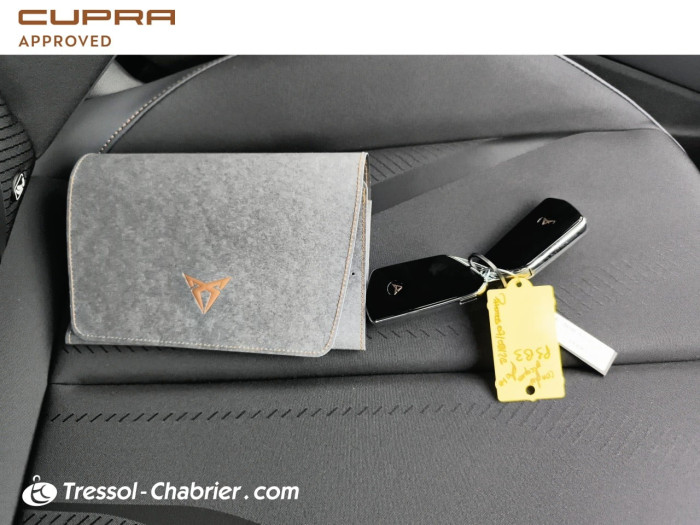 Cupra TERRAMAR Nouveau 1.5 eTSI Hybrid 150 ch DSG7 V