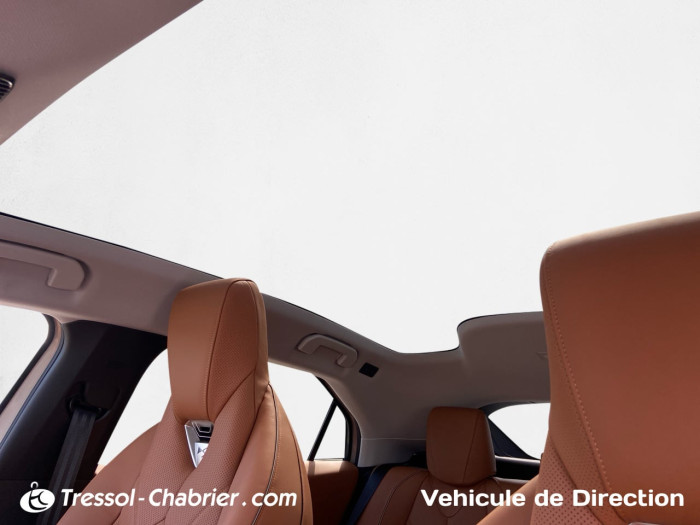 DS N°8 Nouveau 245 ch FWD Long Range Etoile
