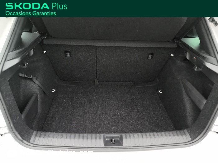 Skoda KAMIQ 1.0 TSI Evo 110 ch DSG7 Monte-Carlo