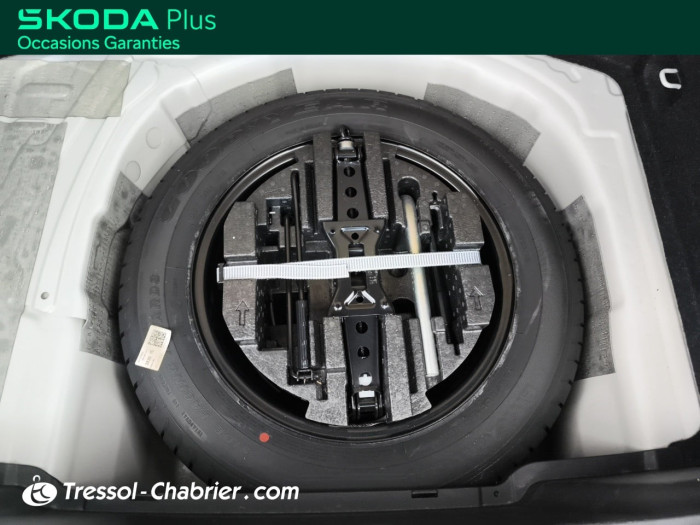 Skoda KAMIQ 1.0 TSI Evo 110 ch DSG7 Monte-Carlo