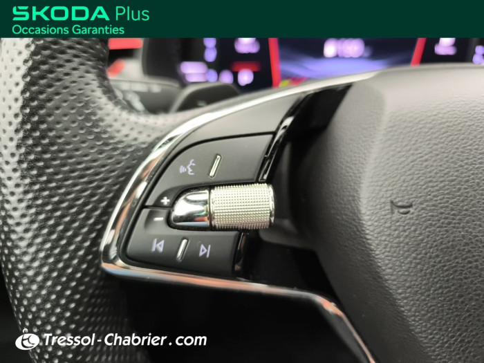 Skoda KAMIQ 1.0 TSI Evo 110 ch DSG7 Monte-Carlo