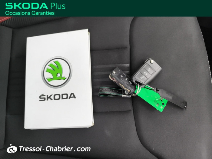 Skoda KAMIQ 1.0 TSI Evo 110 ch DSG7 Monte-Carlo