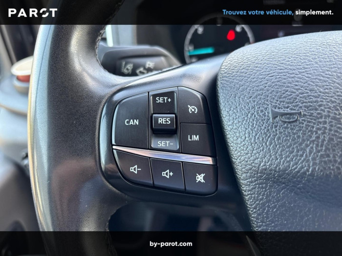 Ford Transit 2T Fg 350 L2H2 2.0 EcoBlue 170ch Trail 4x4