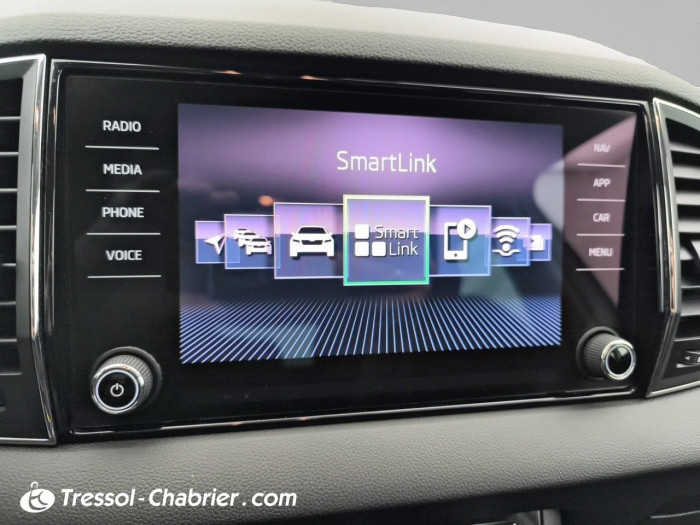 Skoda Karoq 2.0 TDI 150 ch SCR 4x4 DSG7 Ambition