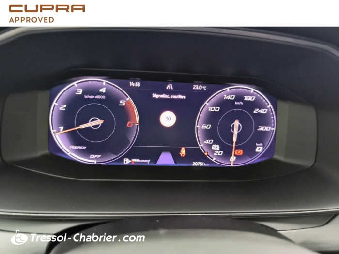 Cupra FORMENTOR 2.0 TDI 150 ch 4th Anniversary Edition