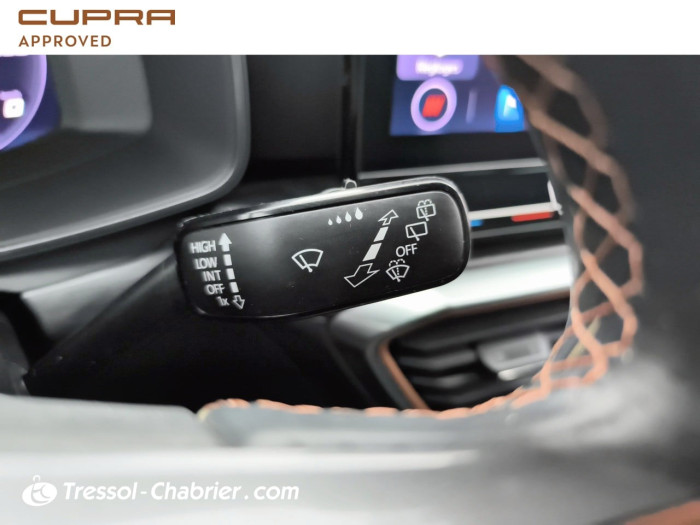 Cupra FORMENTOR 2.0 TDI 150 ch 4th Anniversary Edition