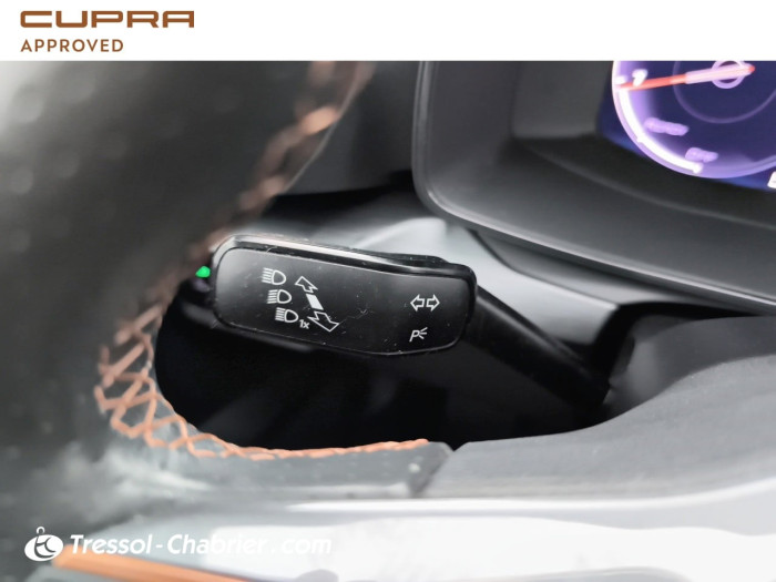 Cupra FORMENTOR 2.0 TDI 150 ch 4th Anniversary Edition