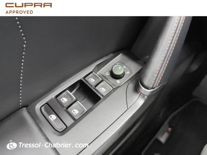 Cupra FORMENTOR 2.0 TDI 150 ch 4th Anniversary Edition