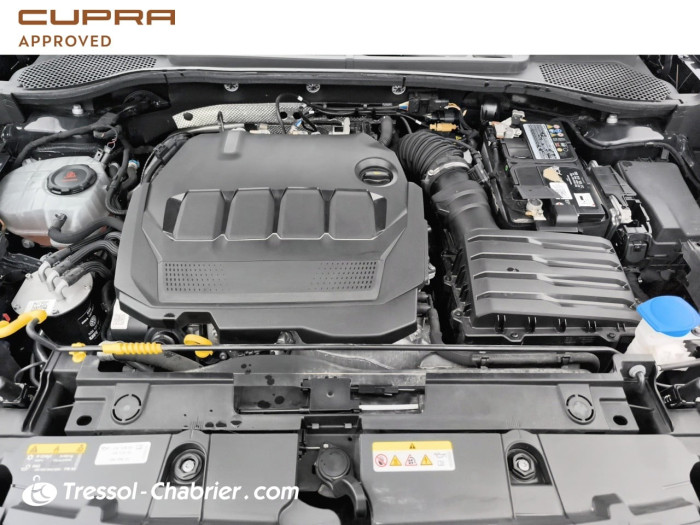 Cupra FORMENTOR 2.0 TDI 150 ch 4th Anniversary Edition