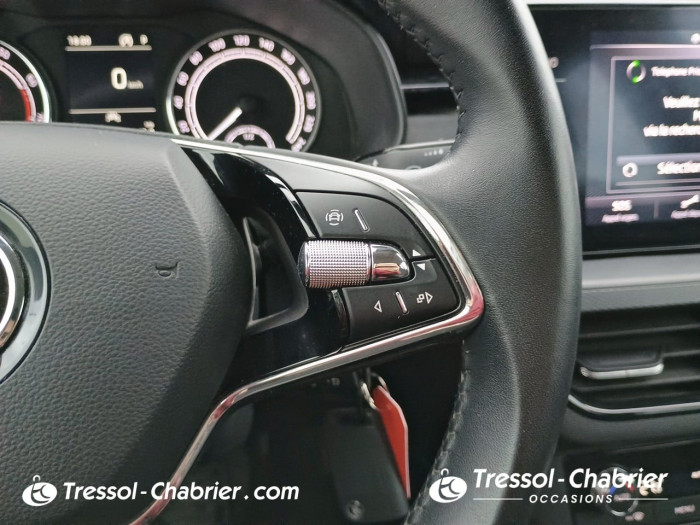 Skoda KAMIQ 1.0 TSI Evo 110 ch DSG7 Style