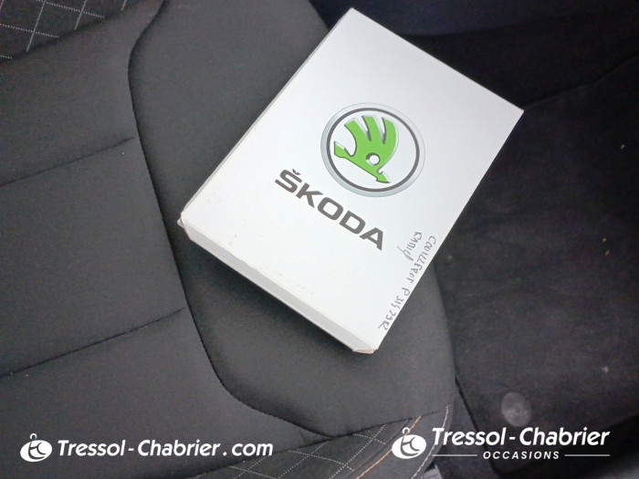 Skoda KAMIQ 1.0 TSI Evo 110 ch DSG7 Style