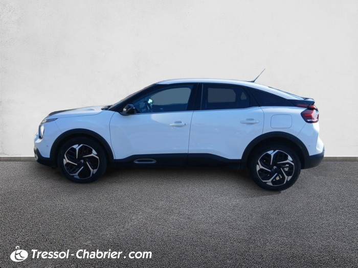 Citroën C4 BlueHDi 130 S&S EAT8 Shine
