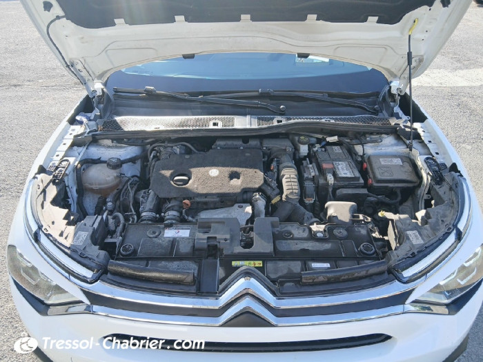 Citroën C4 BlueHDi 130 S&S EAT8 Shine