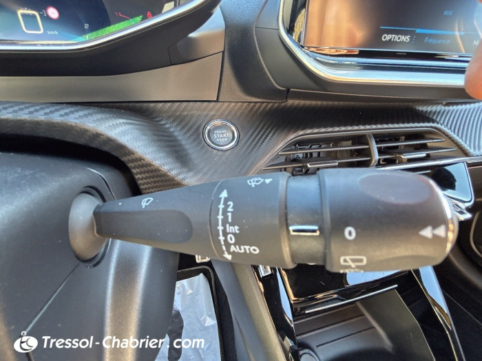 Peugeot 208 BlueHDi 100 S&S BVM6 GT Pack