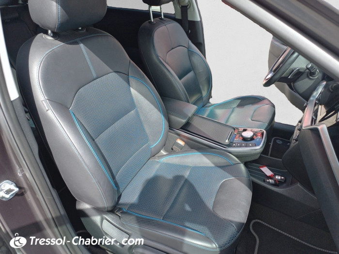 Kia E-NIRO BUSINESS Electrique 204 ch Premium Business