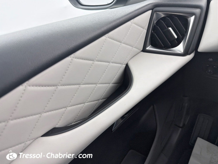 DS DS 3 CROSSBACK BUSINESS PureTech 130 S&S EAT8 Business