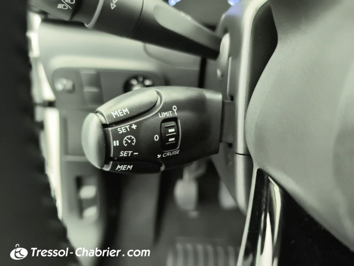 Citroën C3 BUSINESS BlueHDi 100 S&S BVM Shine Business