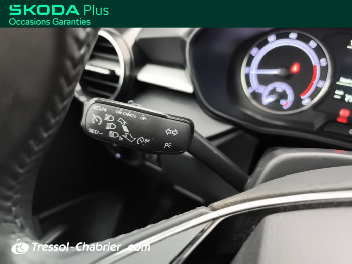 Skoda FABIA 1.0 TSI 95 ch BVM5 Ambition