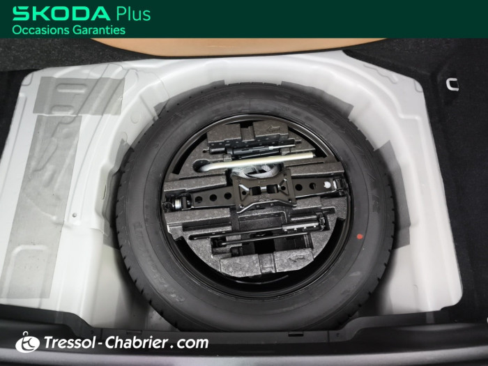Skoda KAMIQ 1.0 TSI Evo 110 ch BVM6 Ambition