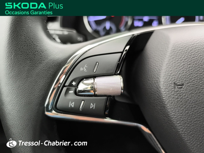 Skoda KAMIQ 1.0 TSI Evo 110 ch BVM6 Ambition