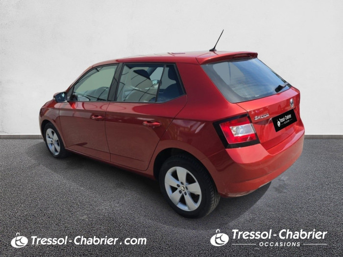 Skoda FABIA 1.2 TSI 110 ch Greentec DSG7 Style