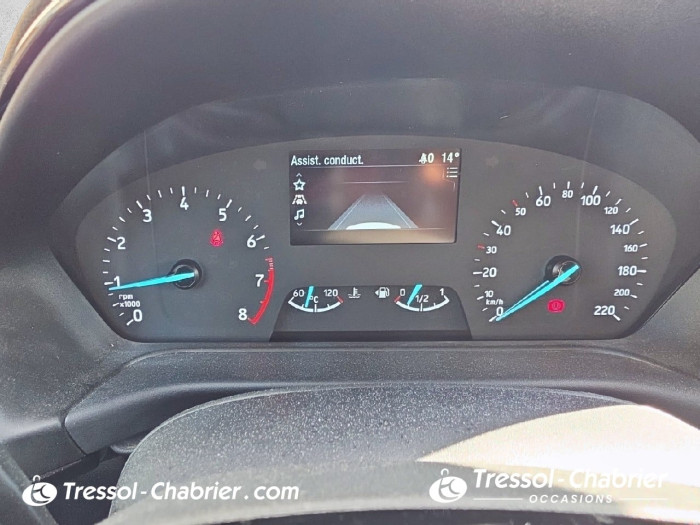Ford Fiesta 1.0 Flexifuel 95 ch S&S BVM6 Cool & Connect