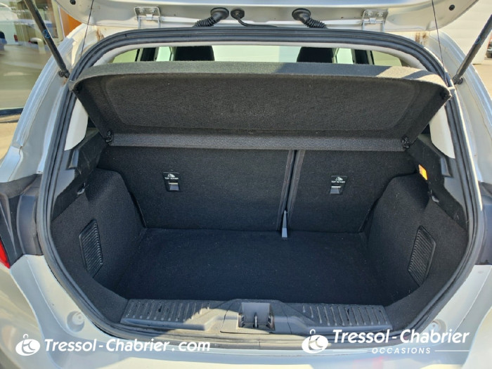 Ford Fiesta 1.0 Flexifuel 95 ch S&S BVM6 Cool & Connect