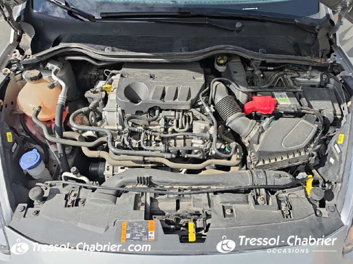 Ford Fiesta 1.0 Flexifuel 95 ch S&S BVM6 Cool & Connect