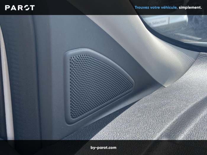Ford Transit Connect L2 1.0E 100ch E85 Trend