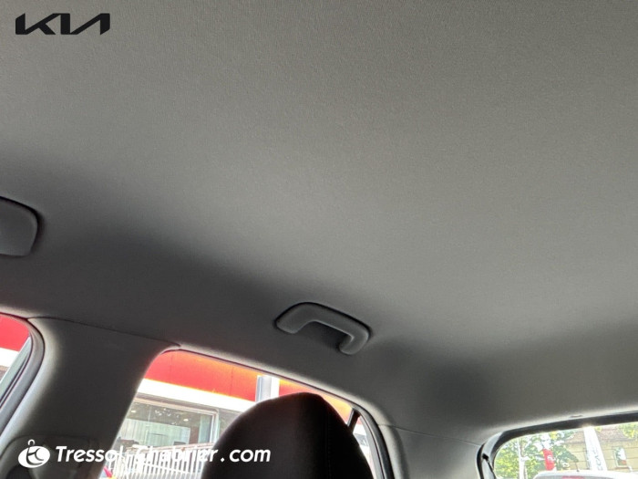 Kia PICANTO BUSINESS 1.0T-GDi 100ch BVM5 GT Line Business