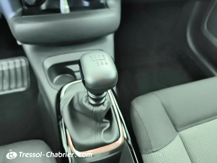Citroën C4 Cactus PureTech 110 S&S BVM6 Feel