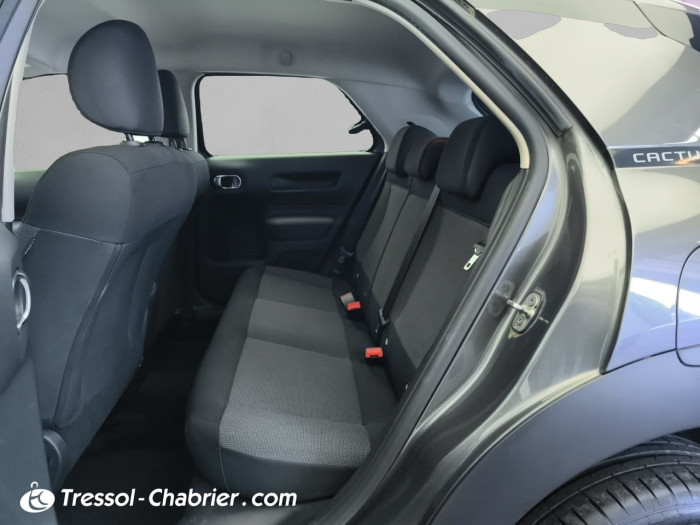 Citroën C4 Cactus PureTech 110 S&S BVM6 Feel