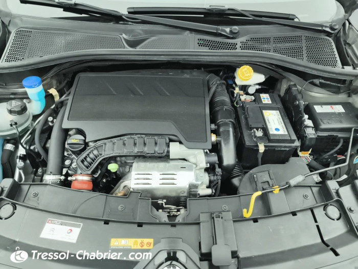 Citroën C4 Cactus PureTech 110 S&S BVM6 Feel