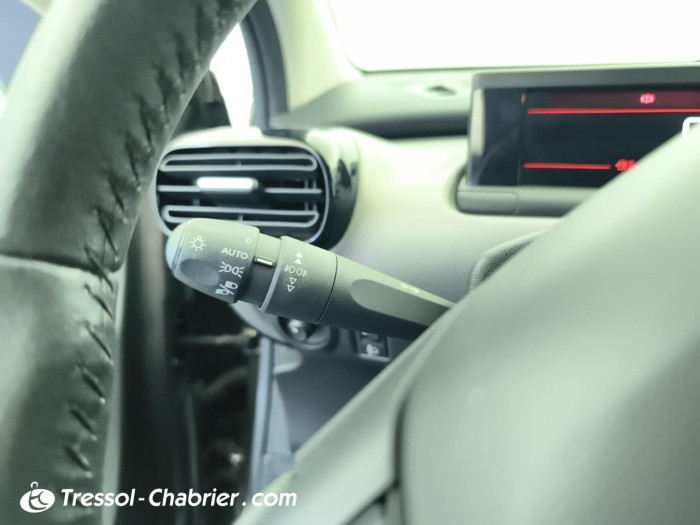 Citroën C4 Cactus PureTech 110 S&S BVM6 Feel