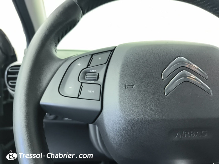 Citroën C4 Cactus PureTech 110 S&S BVM6 Feel