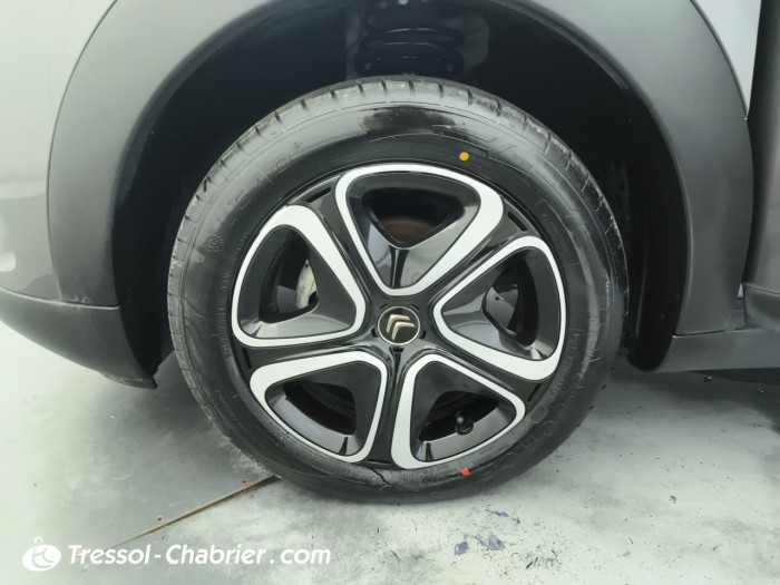 Citroën C4 Cactus PureTech 110 S&S BVM6 Feel