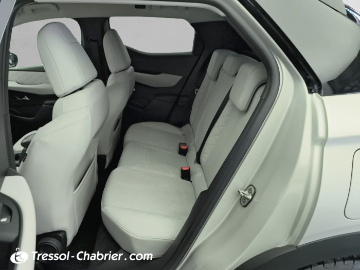 DS DS 3 CROSSBACK ELECTRIQUE DS3 Crossback E-Tense Grand Chic