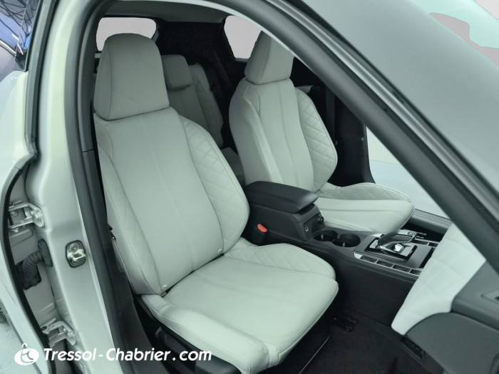 DS DS 3 CROSSBACK ELECTRIQUE DS3 Crossback E-Tense Grand Chic