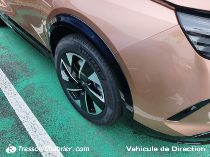 Opel GRANDLAND ELECTRIQUE Nouveau 213 ch & Batterie 73 kWh GS